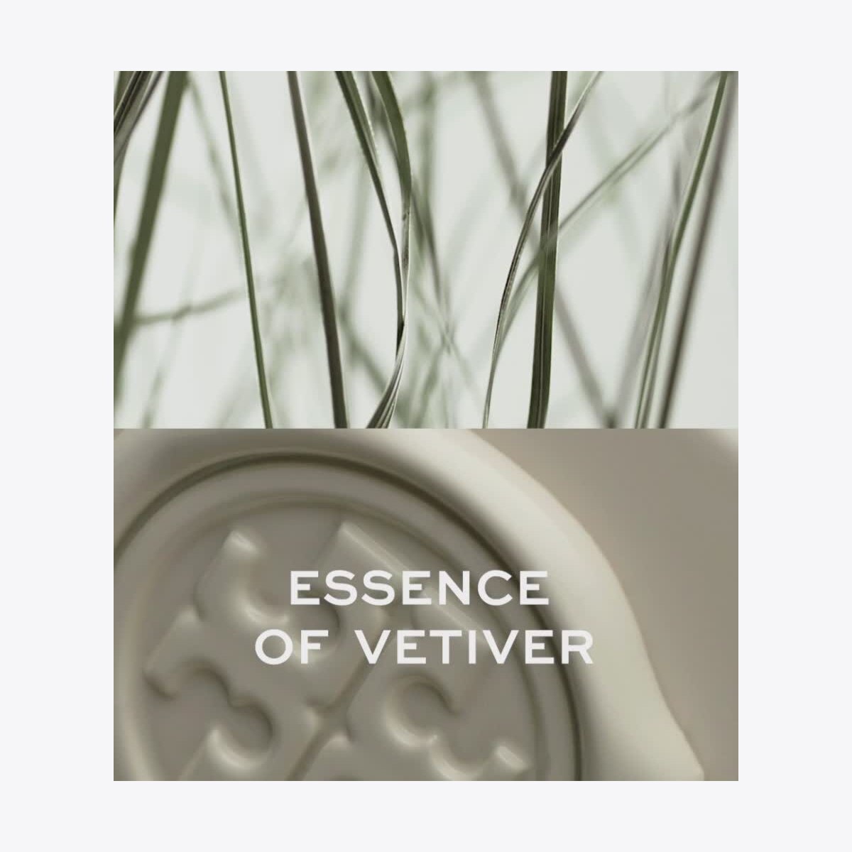 Essence Of Vetiver Layering Oil-ESSENCE OF DREAMS IVORY 6 Essence Of Vetiver Layering Oil-ESSENCE OF DREAMS IVORY